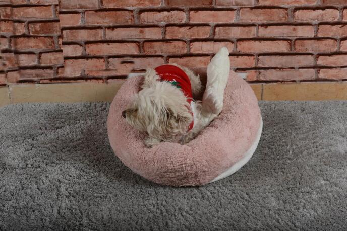 Cookie Pet Sherpa Polar Yıkanabilir Yuvarlak Köpek Kedi Yatağı 50 Açık Pudra - 3