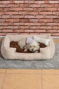 Cookie Pet Dolgulu Kedi Köpek Yuvası 70x50cm Kahve Bej - 2