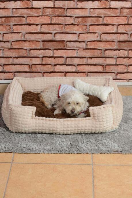 Cookie Pet Dolgulu Kedi Köpek Yuvası 70x50cm Kahve Bej - 2