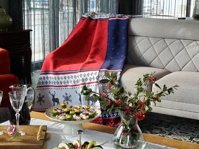 Dolce Bonita Home Tek Kişilik Pamuklu Çift Taraflı Battaniye 150x200 Carmelo Kırmızı Lacivert - 1